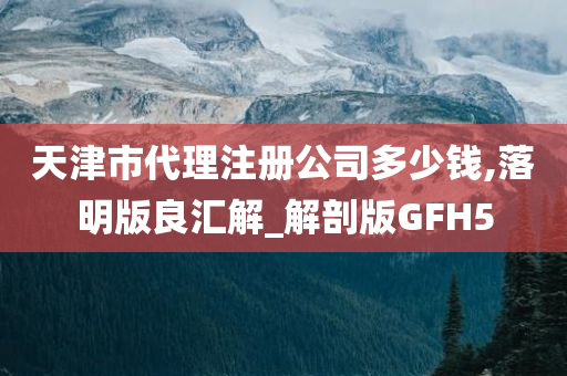 天津市代理注册公司多少钱,落明版良汇解_解剖版GFH5