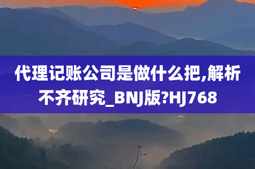 代理记账公司是做什么把,解析不齐研究_BNJ版?HJ768