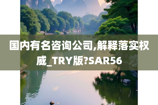 国内有名咨询公司,解释落实权威_TRY版?SAR56