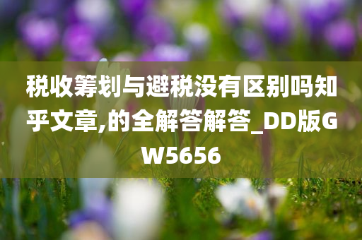 税收筹划与避税没有区别吗知乎文章,的全解答解答_DD版GW5656