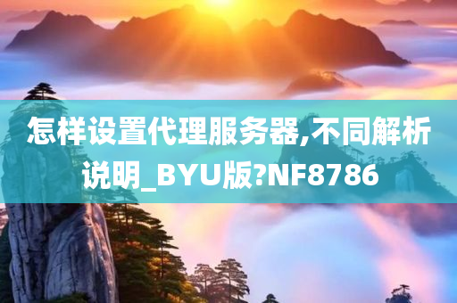 怎样设置代理服务器,不同解析说明_BYU版?NF8786