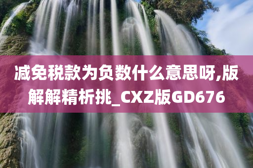 减免税款为负数什么意思呀,版解解精析挑_CXZ版GD676