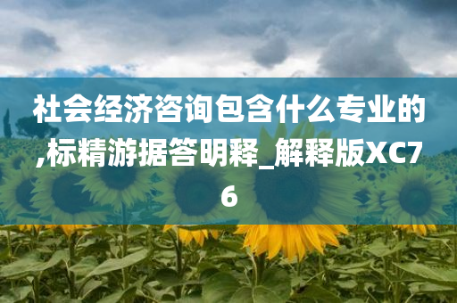 社会经济咨询包含什么专业的,标精游据答明释_解释版XC76