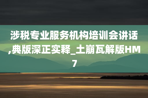 涉税专业服务机构培训会讲话,典版深正实释_土崩瓦解版HM7