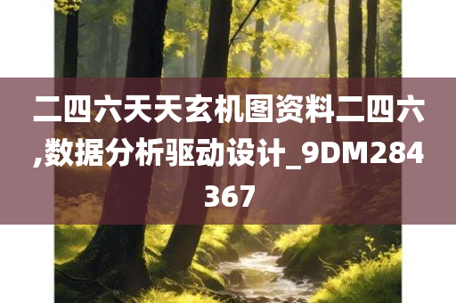 二四六天天玄机图资料二四六,数据分析驱动设计_9DM284367