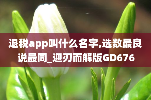 退税app叫什么名字,选数最良说最同_迎刃而解版GD676