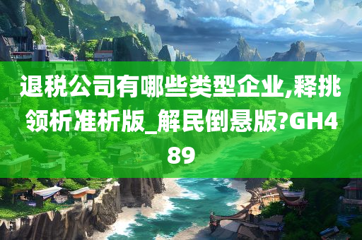 退税公司有哪些类型企业,释挑领析准析版_解民倒悬版?GH489