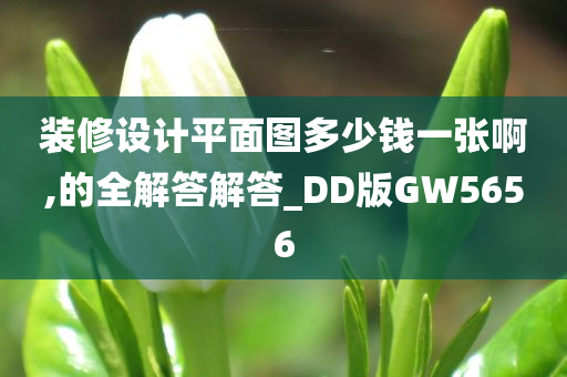 装修设计平面图多少钱一张啊,的全解答解答_DD版GW5656