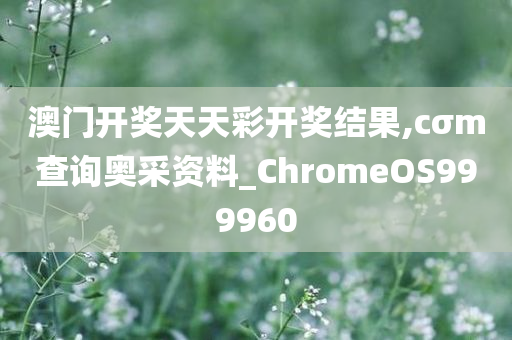 澳门开奖天天彩开奖结果,cσm查询奥采资料_ChromeOS999960