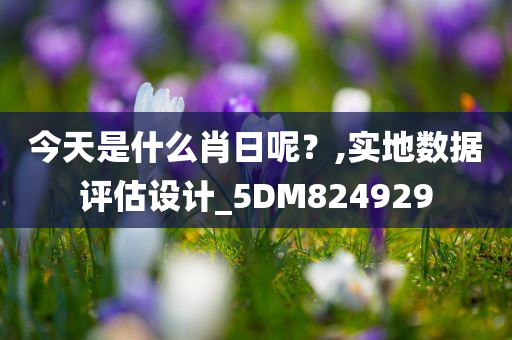 今天是什么肖日呢？,实地数据评估设计_5DM824929