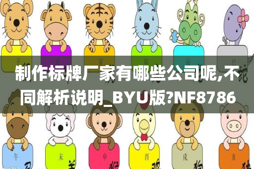 制作标牌厂家有哪些公司呢,不同解析说明_BYU版?NF8786