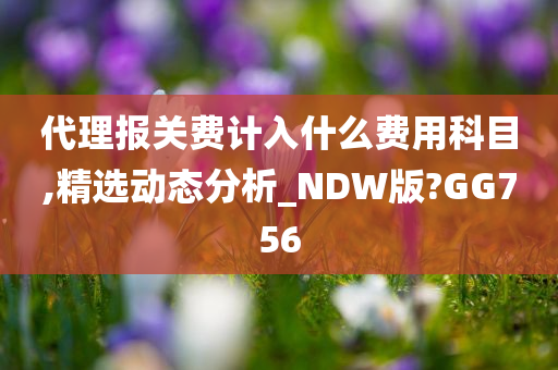 代理报关费计入什么费用科目,精选动态分析_NDW版?GG756