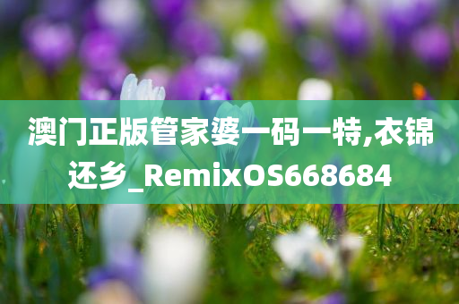 澳门正版管家婆一码一特,衣锦还乡_RemixOS668684