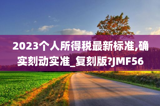 2023个人所得税最新标准,确实刻动实准_复刻版?JMF56