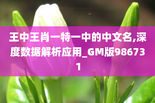 王中王肖一特一中的中文名,深度数据解析应用_GM版986731