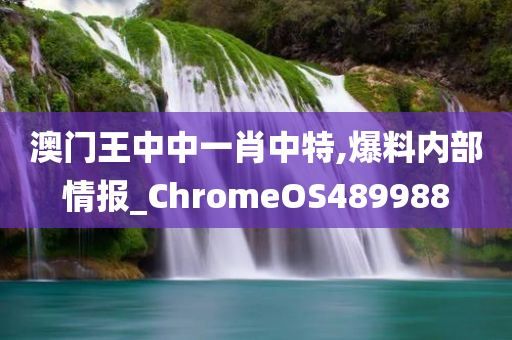 澳门王中中一肖中特,爆料内部情报_ChromeOS489988