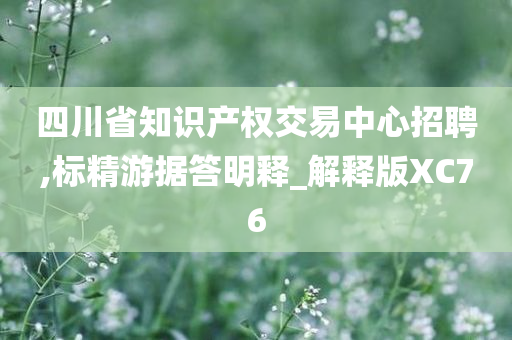 四川省知识产权交易中心招聘,标精游据答明释_解释版XC76