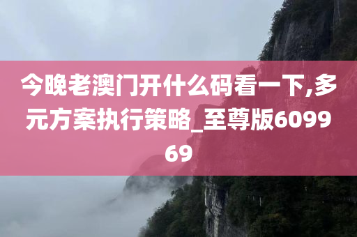 今晚老澳门开什么码看一下,多元方案执行策略_至尊版609969