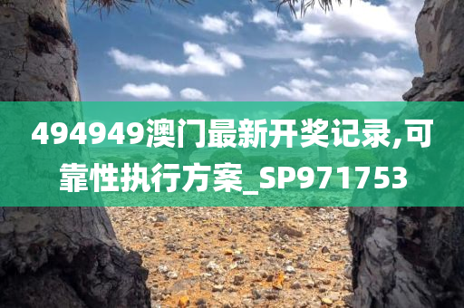 494949澳门最新开奖记录,可靠性执行方案_SP971753