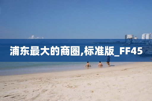 浦东最大的商圈,标准版_FF45