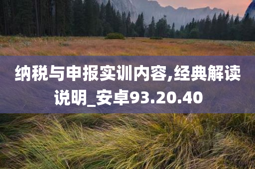 纳税与申报实训内容,经典解读说明_安卓93.20.40