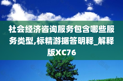 社会经济咨询服务包含哪些服务类型,标精游据答明释_解释版XC76