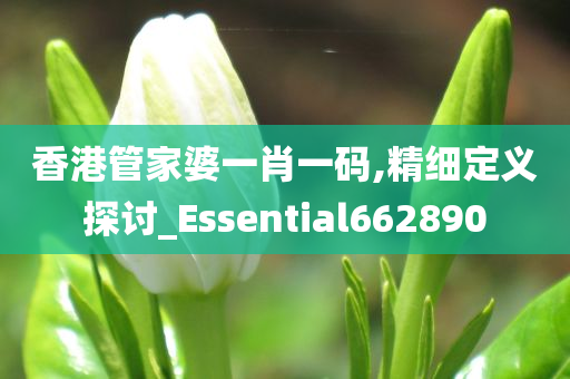 香港管家婆一肖一码,精细定义探讨_Essential662890