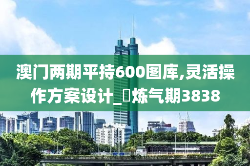 澳门两期平持600图库,灵活操作方案设计_‌炼气期3838