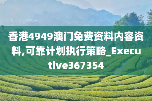 香港4949澳门免费资料内容资料,可靠计划执行策略_Executive367354