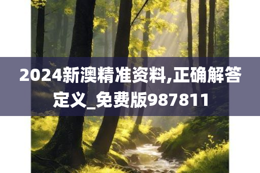 2024新澳精准资料,正确解答定义_免费版987811