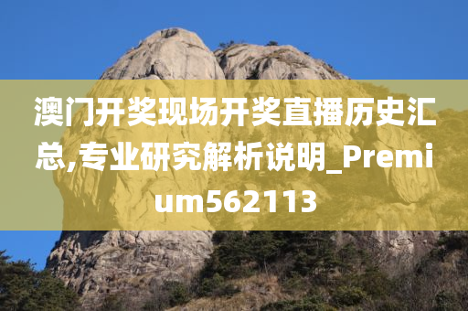 澳门开奖现场开奖直播历史汇总,专业研究解析说明_Premium562113