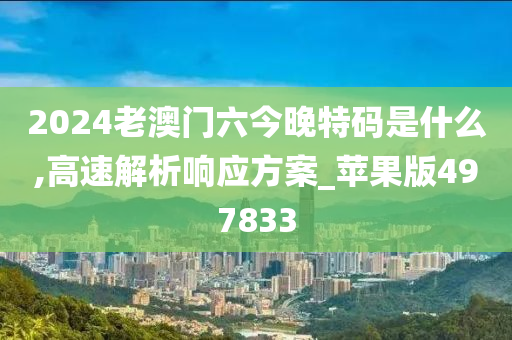 2024老澳门六今晚特码是什么,高速解析响应方案_苹果版497833