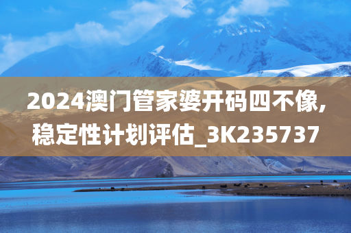 2024澳门管家婆开码四不像,稳定性计划评估_3K235737