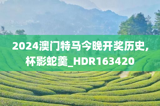 2024澳门特马今晚开奖历史,杯影蛇羹_HDR163420