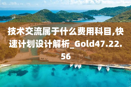 技术交流属于什么费用科目,快速计划设计解析_Gold47.22.56