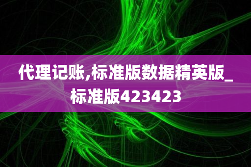 代理记账,标准版数据精英版_标准版423423