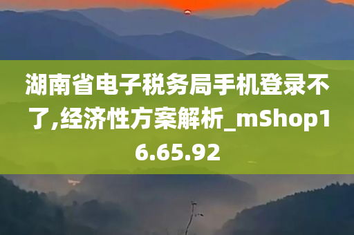 湖南省电子税务局手机登录不了,经济性方案解析_mShop16.65.92