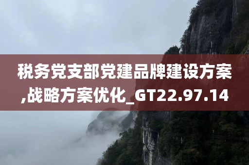 税务党支部党建品牌建设方案,战略方案优化_GT22.97.14