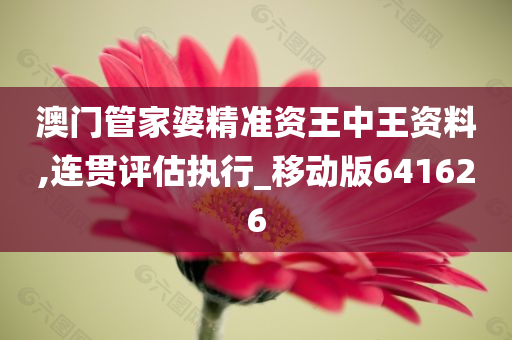 澳门管家婆精准资王中王资料,连贯评估执行_移动版641626