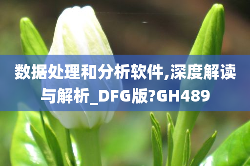 数据处理和分析软件,深度解读与解析_DFG版?GH489