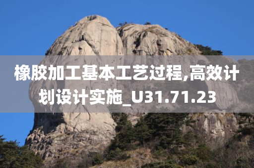 橡胶加工基本工艺过程,高效计划设计实施_U31.71.23