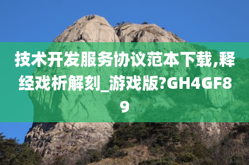 技术开发服务协议范本下载,释经戏析解刻_游戏版?GH4GF89